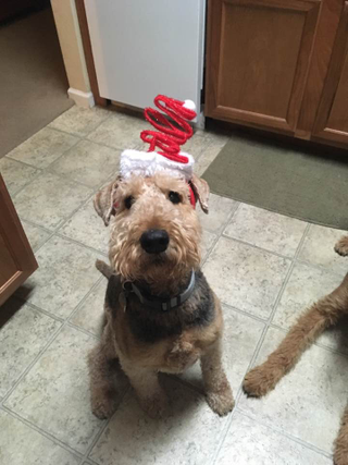 I miss this face so hard.